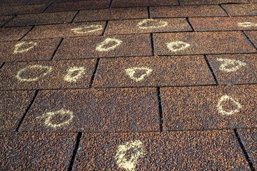 Hail Damaged Roof in Monroe