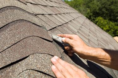 Shingle roof in Centerville, OH